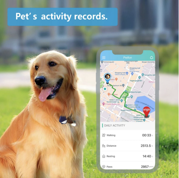 Petfon 2 (Smart tracker for 1 dog) - Image 6