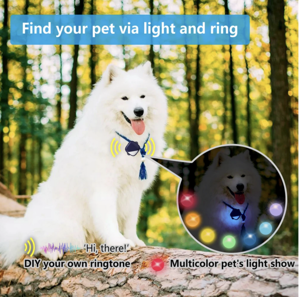 Petfon 2 (Smart tracker for 1 dog) - Image 8