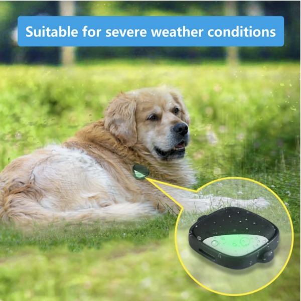 Petfon 2 (Smart tracker for 1 dog) - Image 9